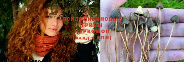 мет Аркадак