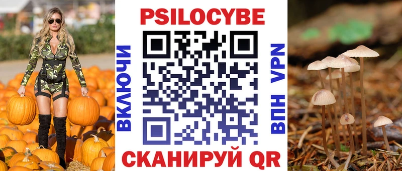 Галлюциногенные грибы мицелий  Купить  Дзержинский 